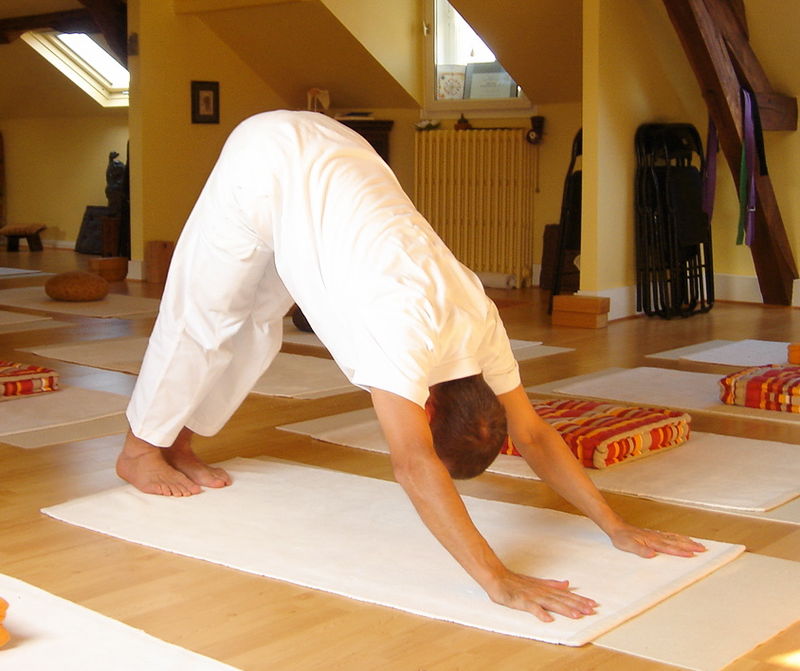 Surya Namaskar 